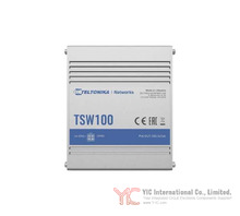 TSW100