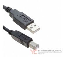 CA-USB-AM-BM-10FT