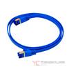 QG-CAT7F-3FT-BLU Image