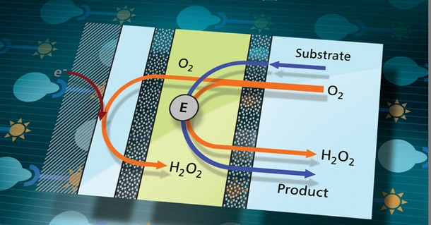 Schematic representation of a sensor mechanism