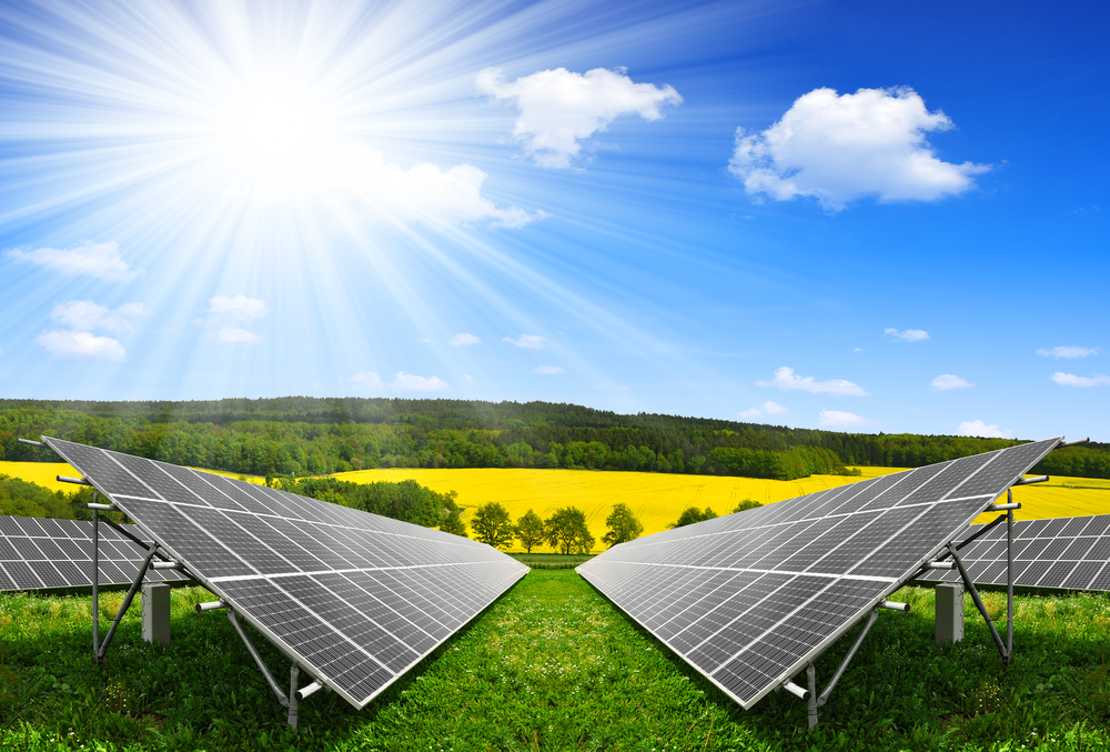 Solar Panel and Their Role in Renewable Energy