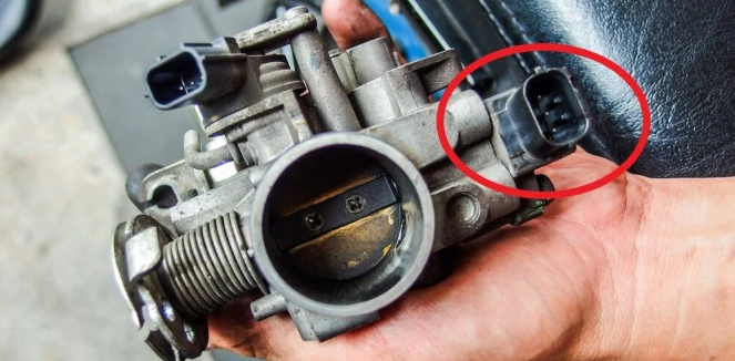 Figure 2. Throttle Position Sensor Located