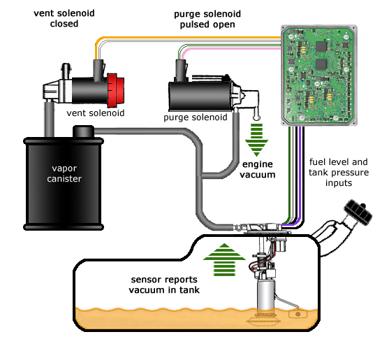 Guide to EVAP System Leaks: Causes, Detection, and Repairs