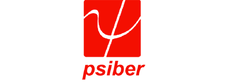 Psiber Data Systems, Inc.